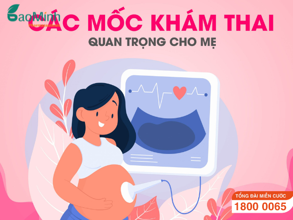 Các mốc khám thai quan trọng trong thai kỳ mẹ bầu cần biết